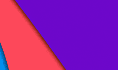 Quelles garanties pour assurer la transparence du scrutin ?